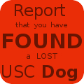 Click here to Report a Found USC Dog