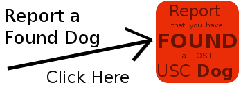 Click here to report a found USC Dog
