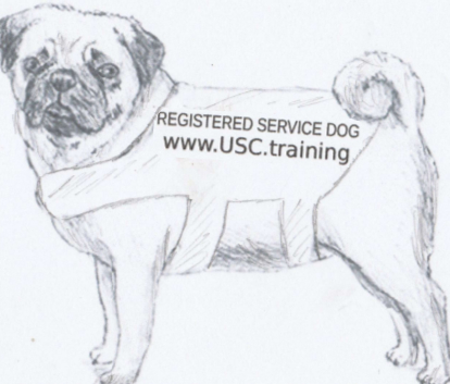 Registered Service Dog Vest