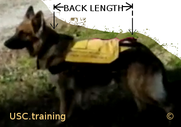 How to measure your dog for a Service Vest